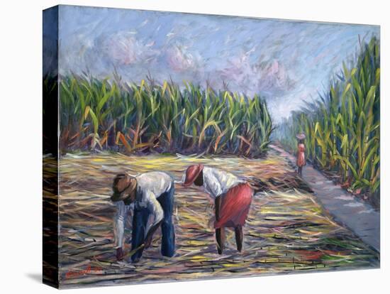 Sugarcane Harvest, 1986-Carlton Murrell-Stretched Canvas