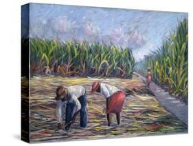 Sugarcane Harvest, 1986-Carlton Murrell-Stretched Canvas
