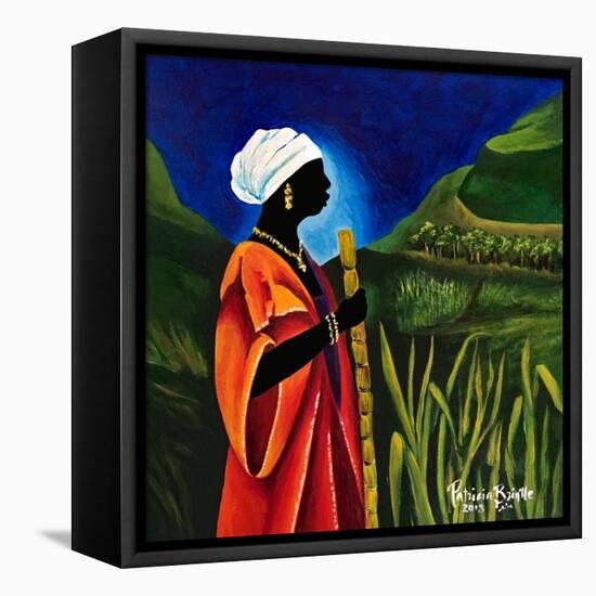 Sugarcane journey-Patricia Brintle-Framed Stretched Canvas