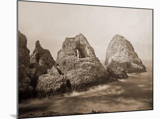 Sugarloaf Islands at Fisherman's Bay, Farallon Islands, San Francisco, California, 1869-Carleton Watkins-Mounted Art Print