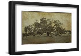 Sugarmill Oak, Louisiana-William Guion-Framed Giclee Print