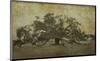 Sugarmill Oak, Louisiana-William Guion-Mounted Giclee Print