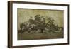 Sugarmill Oak, Louisiana-William Guion-Framed Giclee Print