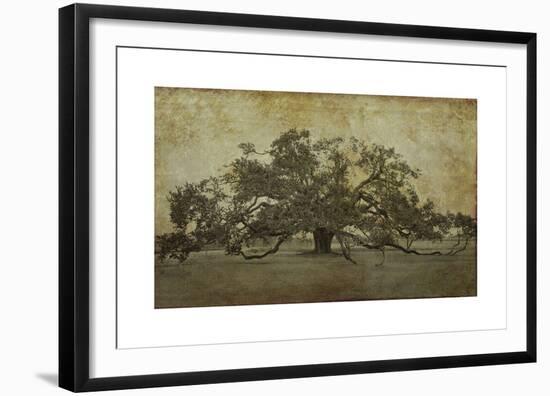 Sugarmill Oak, Louisiana-William Guion-Framed Giclee Print