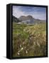 Suilven, Early Summer Morning, Coigach - Assynt Swt, Sutherland, Highlands, Scotland, UK, June 2011-Joe Cornish-Framed Stretched Canvas