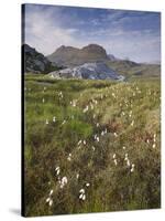 Suilven, Early Summer Morning, Coigach - Assynt Swt, Sutherland, Highlands, Scotland, UK, June 2011-Joe Cornish-Stretched Canvas