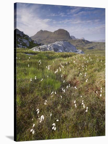 Suilven, Early Summer Morning, Coigach - Assynt Swt, Sutherland, Highlands, Scotland, UK, June 2011-Joe Cornish-Stretched Canvas