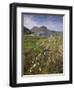 Suilven, Early Summer Morning, Coigach - Assynt Swt, Sutherland, Highlands, Scotland, UK, June 2011-Joe Cornish-Framed Photographic Print