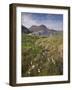 Suilven, Early Summer Morning, Coigach - Assynt Swt, Sutherland, Highlands, Scotland, UK, June 2011-Joe Cornish-Framed Photographic Print