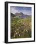 Suilven, Early Summer Morning, Coigach - Assynt Swt, Sutherland, Highlands, Scotland, UK, June 2011-Joe Cornish-Framed Photographic Print