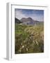 Suilven, Early Summer Morning, Coigach - Assynt Swt, Sutherland, Highlands, Scotland, UK, June 2011-Joe Cornish-Framed Photographic Print