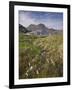 Suilven, Early Summer Morning, Coigach - Assynt Swt, Sutherland, Highlands, Scotland, UK, June 2011-Joe Cornish-Framed Photographic Print