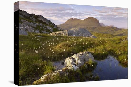 Suilven in Early Morning Light, Coigach - Assynt Swt, Sutherland, Highlands, Scotland, UK, June-Joe Cornish-Stretched Canvas