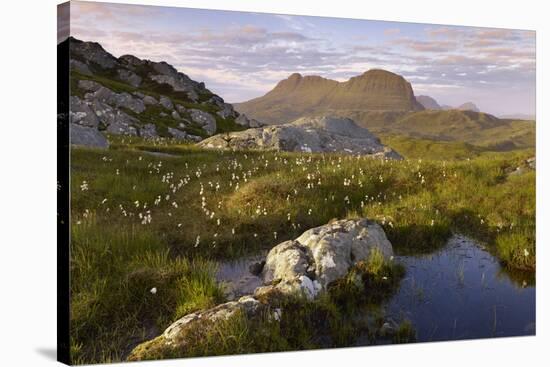 Suilven in Early Morning Light, Coigach - Assynt Swt, Sutherland, Highlands, Scotland, UK, June-Joe Cornish-Stretched Canvas