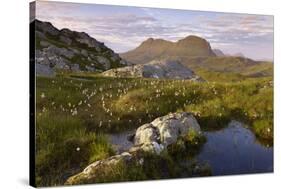 Suilven in Early Morning Light, Coigach - Assynt Swt, Sutherland, Highlands, Scotland, UK, June-Joe Cornish-Stretched Canvas