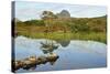 Suilven over a Highland Loch with Islands of Scots Pine and Birch. Sutherland, Scotland-Fergus Gill-Stretched Canvas