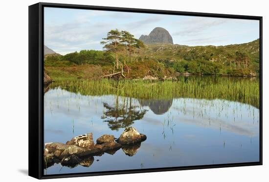 Suilven over a Highland Loch with Islands of Scots Pine and Birch. Sutherland, Scotland-Fergus Gill-Framed Stretched Canvas