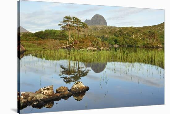 Suilven over a Highland Loch with Islands of Scots Pine and Birch. Sutherland, Scotland-Fergus Gill-Stretched Canvas
