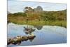 Suilven over a Highland Loch with Islands of Scots Pine and Birch. Sutherland, Scotland-Fergus Gill-Mounted Photographic Print