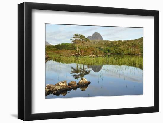 Suilven over a Highland Loch with Islands of Scots Pine and Birch. Sutherland, Scotland-Fergus Gill-Framed Photographic Print