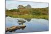 Suilven over a Highland Loch with Islands of Scots Pine and Birch. Sutherland, Scotland-Fergus Gill-Mounted Photographic Print