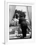Suit Clad Movie Director Alfred Hitchcock as He Leans on Balcony Railing of Apartment-Peter Stackpole-Framed Premium Photographic Print