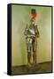 Suit of Armor-null-Framed Stretched Canvas