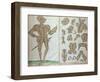 Suit of Armour for Sir Henry Lee, from "An Elizabethan Armourer's Album"-Jacobe Halder-Framed Giclee Print