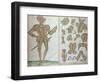 Suit of Armour for Sir Henry Lee, from "An Elizabethan Armourer's Album"-Jacobe Halder-Framed Giclee Print