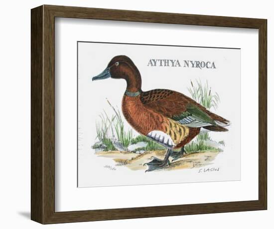 Suite Canards I-Serge Lassus-Framed Limited Edition