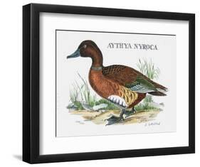 Suite Canards I-Serge Lassus-Framed Limited Edition