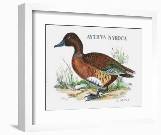 Suite Canards I-Serge Lassus-Framed Limited Edition