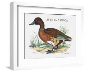 Suite Canards I-Serge Lassus-Framed Limited Edition