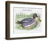 Suite Canards II-Serge Lassus-Framed Limited Edition