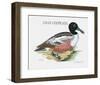 Suite Canards III-Serge Lassus-Framed Limited Edition