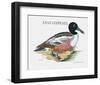 Suite Canards III-Serge Lassus-Framed Limited Edition