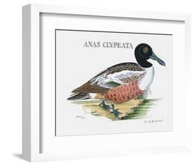 Suite Canards III-Serge Lassus-Framed Limited Edition