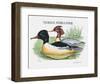 Suite Canards IV-Serge Lassus-Framed Limited Edition