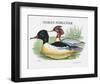 Suite Canards IV-Serge Lassus-Framed Limited Edition