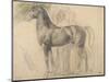 Suivantes de Sémiramis et cheval, étude pour Sémiramis-Edgar Degas-Mounted Premium Giclee Print