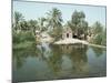 Suk-Esh-Shiukh Village, Marshes, Iraq, Middle East-null-Mounted Photographic Print