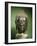 Sukhothai Bronze Head of Buddha-null-Framed Giclee Print