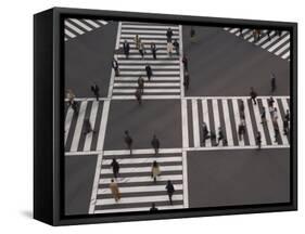 Sukiyabashi Pedestrian Crossing, Ginza, Tokyo, Japan-Gavin Hellier-Framed Stretched Canvas