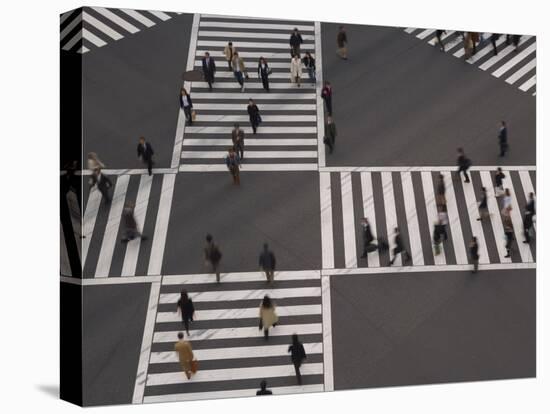 Sukiyabashi Pedestrian Crossing, Ginza, Tokyo, Japan-Gavin Hellier-Stretched Canvas