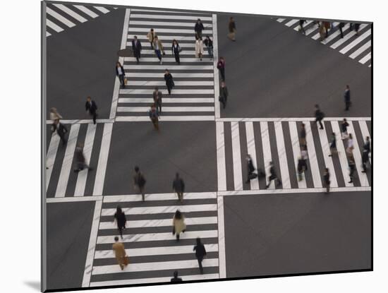 Sukiyabashi Pedestrian Crossing, Ginza, Tokyo, Japan-Gavin Hellier-Mounted Photographic Print