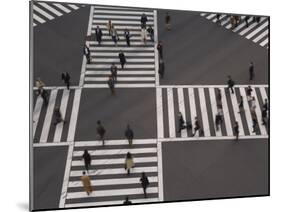 Sukiyabashi Pedestrian Crossing, Ginza, Tokyo, Japan-Gavin Hellier-Mounted Photographic Print