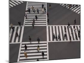 Sukiyabashi Pedestrian Crossing, Ginza, Tokyo, Japan-Gavin Hellier-Mounted Photographic Print