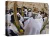 Sukot Festival, Jews in Prayer Shawls Holding Lulav and Etrog, Praying by the Western Wall, Israel-Eitan Simanor-Stretched Canvas