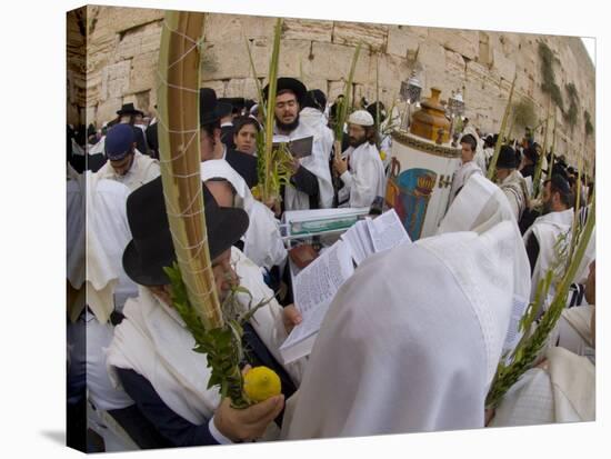 Sukot Festival, Jews in Prayer Shawls Holding Lulav and Etrog, Praying by the Western Wall, Israel-Eitan Simanor-Stretched Canvas