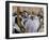 Sukot Festival, Jews in Prayer Shawls Holding Lulav and Etrog, Praying by the Western Wall, Israel-Eitan Simanor-Framed Photographic Print